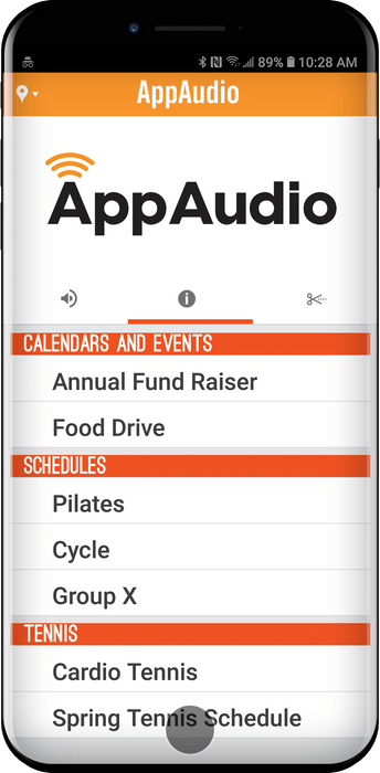 8 Channel Audio over Wifi Package