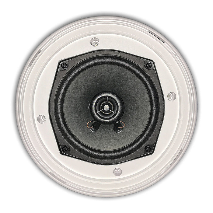 5.25" Ceiling Speaker