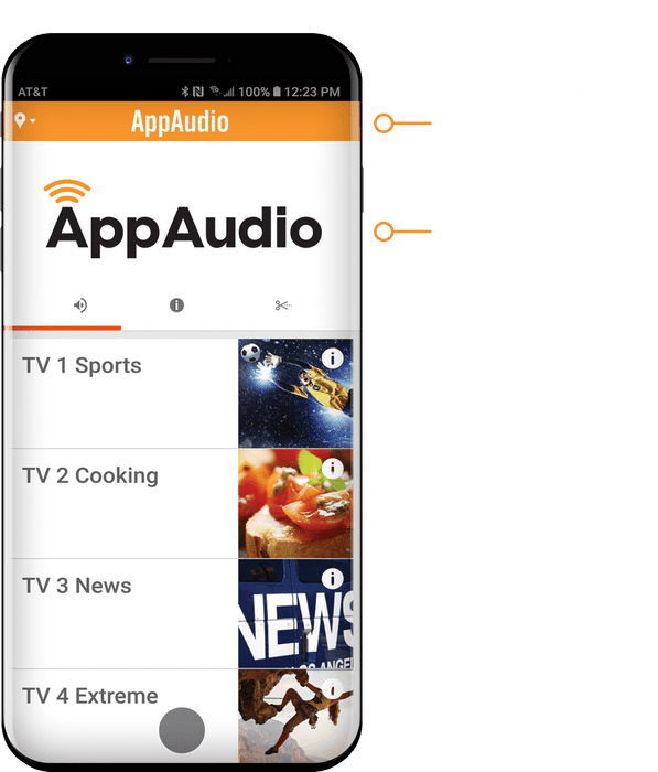 12 Channel Audio over Wifi Package